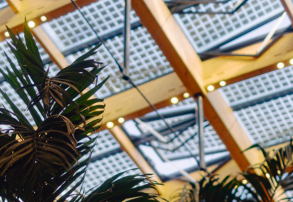 Roof with solar panels and plants in a sustainable smart modern building.