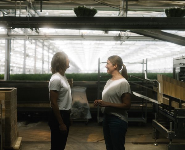 wo people in white shirts talking in greenhouse with plants and agricultural equipment in background.