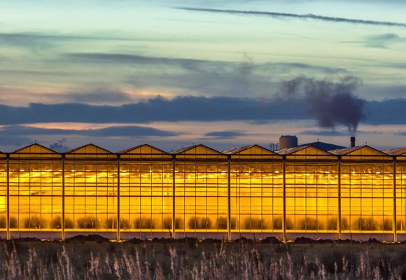 Illuminated greenhouse at dusk showcasing energy-efficient growing, climate control and sustainable horticulture production