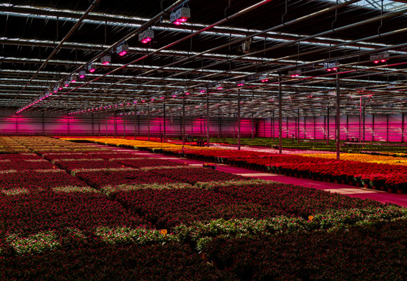 Priva Van Schie RB48632 Bewerkt Lowres