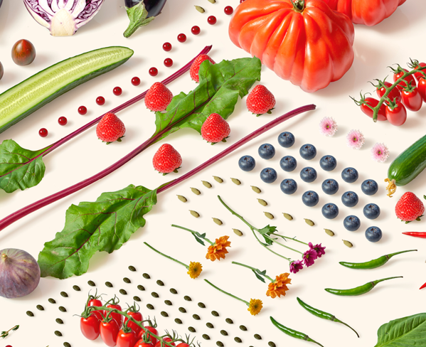 Banner Open Platform 2