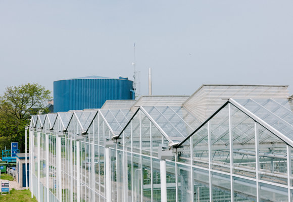 Row of modern glass greenhouses with a large blue industrial building in the background on a clear day.